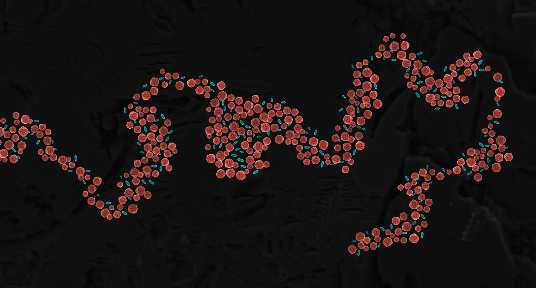 Research in Design & Perception