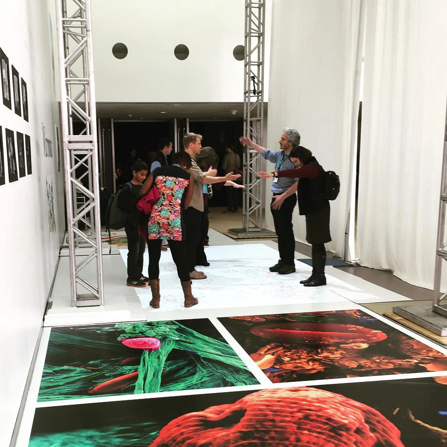 Research in Design & Perception